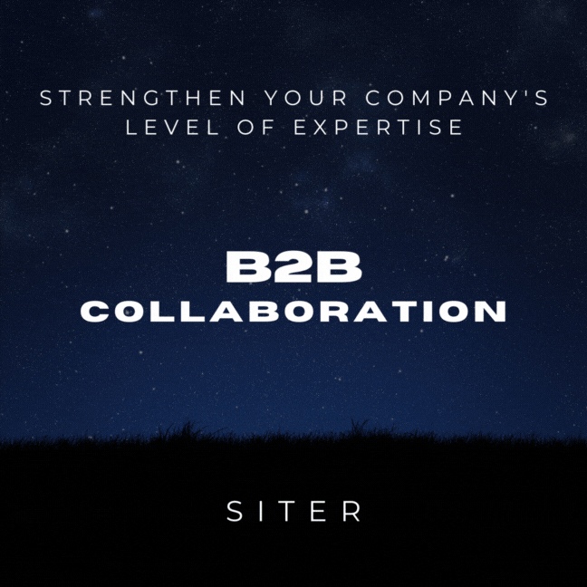 Business to business partnership